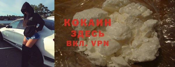 гашик Алзамай