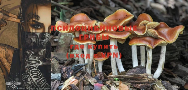 гашик Алзамай