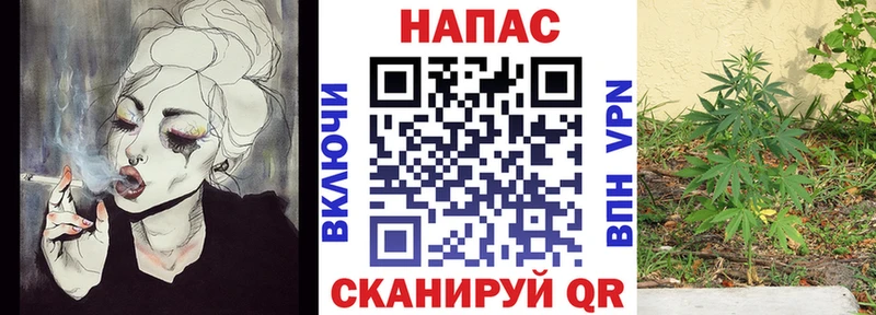Канабис Ganja  маркетплейс Telegram  Лодейное Поле 